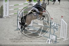 ref. photo 3517127