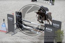ref. photo 3517133