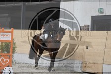 ref. photo 3517142