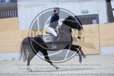 ref. photo 3517148