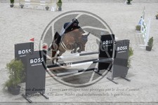 ref. photo 3517182
