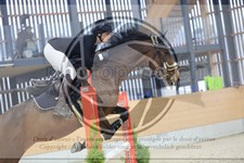ref. photo 3517190