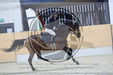 ref. photo 3517194