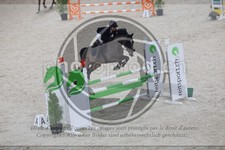 ref. photo 3517196