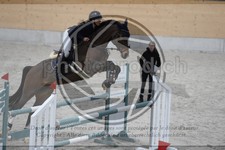 ref. photo 3517199