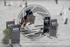 ref. photo 3517223