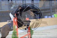 ref. photo 3517236