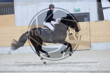 ref. photo 3517239