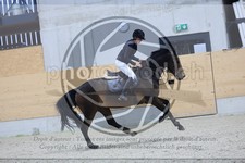 ref. photo 3517244