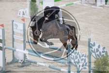 ref. photo 3517246