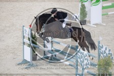 ref. photo 3517250