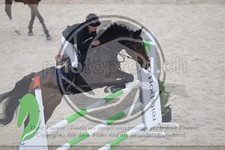 ref. photo 3517252