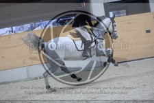 ref. photo 3517269