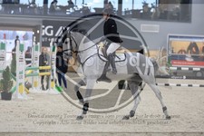 ref. photo 3517272