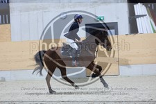 ref. photo 3517281