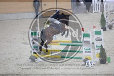 ref. photo 3517286
