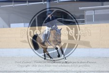 ref. photo 3517301