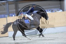 ref. photo 3517307