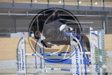 ref. photo 3517309