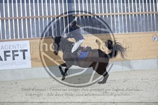 ref. photo 3517310