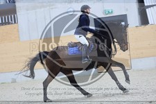 ref. photo 3517313