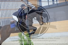 ref. photo 3517314