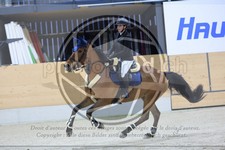 ref. photo 3517324