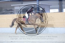 ref. photo 3517372