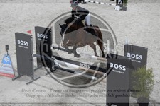 ref. photo 3517388