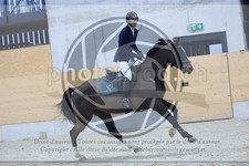 ref. photo 3517420