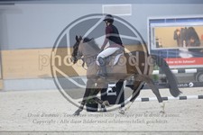 ref. photo 3517436