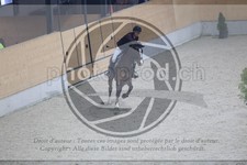ref. photo 3517442