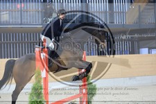 ref. photo 3517445