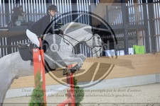 ref. photo 3517451