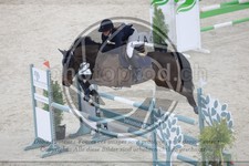 ref. photo 3517499