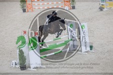 ref. photo 3517500