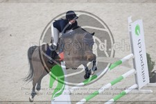 ref. photo 3517501