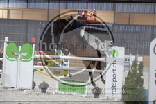 ref. photo 3517508
