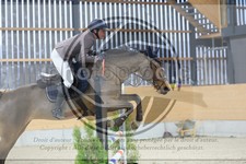 ref. photo 3517519