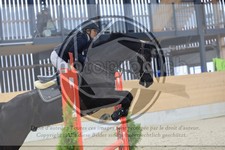 ref. photo 3517520