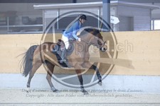 ref. photo 3517541