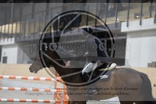 ref. photo 3517560