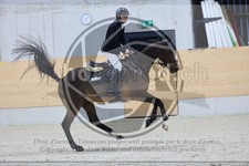 ref. photo 3517566