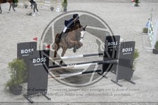 ref. photo 3517590