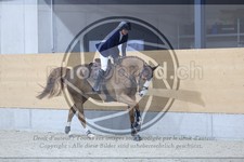 ref. photo 3517597