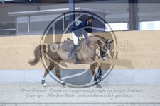 ref. photo 3517598