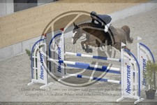 ref. photo 3517602