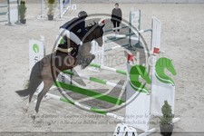 ref. photo 3517606