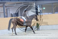 ref. photo 3517617
