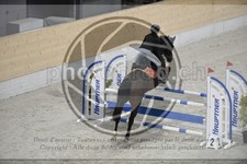 ref. photo 3517619